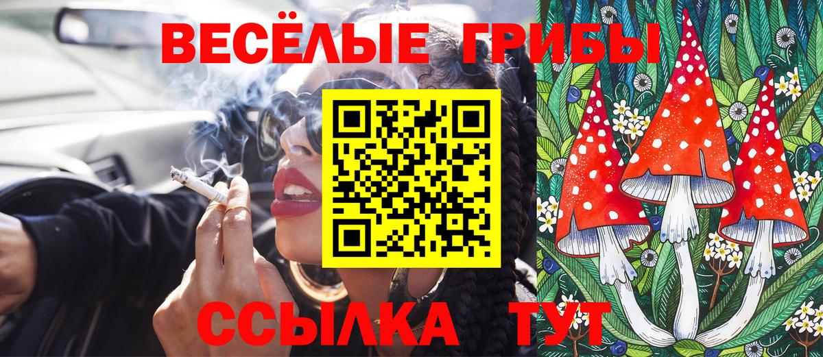 Старая Купавна  Псилоцибиновые грибы Psilocybine cubensis  цены   Вход с VPN 